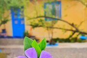 ویلای گیل آوا در رشت