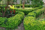 واحد طبقه همکف ویلا در کتالم