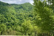 واحد مبله دوخواب  در طبقه دوم  ویلا در آستارا