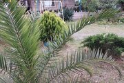 ویلا دو خواب خزر در پره سر
