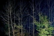 کلبه چوبی یونانی دوبلکس تک خواب در ماسال