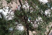 آپارتمان مبله تکخواب در مشهد