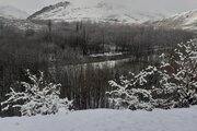 آپارتمان مبله دو خواب استخردار در باغ بهادران