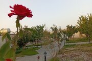 ویلا استخردار دوخواب اقاقیا در مشهد