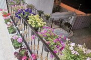 آپارتمان ایلیا بزرگ در دنا
