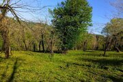 کلبه جنگلی دوبلکس مبله تکخواب ماه سو در شیرگاه