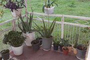 ویلای جنگلی در مرکیه ماسال