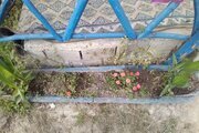 کلبه 30 متری مبله در چمستان