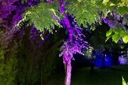 ویلا باغ مبله دو خواب در کتالم