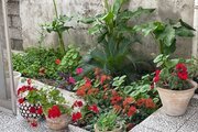 واحددر طبقه همکف ویلا تکخواب بندرانزلی