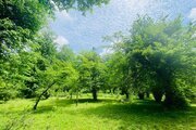 ویلا تکخواب جنگلی در شیرگاه