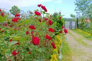 واحد دو خواب افرا در طبقه اول ویلای لیسار