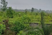 کلبه چوبی مبله دوخواب ماهور در ماسال