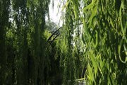 ویلا دو خواب در کردان