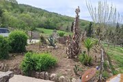 کلبه چوبی  دوبلکس دو خواب جنگلی در ساری