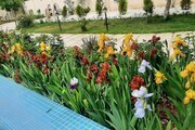 ویلا استخردار دوخواب مبله در کردان