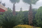 واحد تکخواب در طبقه همکف ویلا داریوش رشت