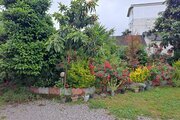 خانه ویلایی دو خواب مبله در نور