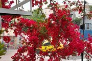 واحد تکخواب در طبقه دوم ویلا ساحلی حسینی در چالوس