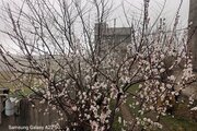 ویلا دو خوابه در مشگین