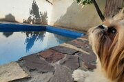 خانه ویلایی تکخواب استخردار در کردان