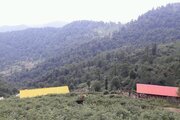 کلبه چوبی ییلاقی در اولسبلنگاه