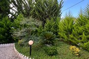 کلبه سوئیسی مبله جکوزی دار دو خواب در متل قو