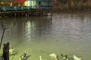 سوئیت ویلا چوبی (آب) در رشت