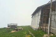 کلبه چوبی تک خواب در ماسال