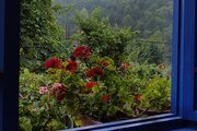 ویلای بدون اتاق زمرد در تالش