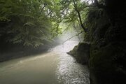ویلا استخردار دوخواب جنگلی درسیاهرود