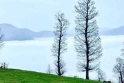 آپارتمان مبله تک خواب افراتخته در علی آباد