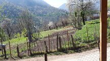 کلبه چوبی در روستای خوروم ماسال