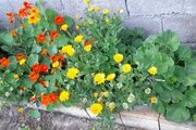 واحد تکخواب در طبقه دوم ویلای تالش