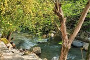 ویلای تریپلکس در ماسال