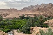 سوئیت مبله 20 متری 3 در طبس