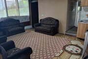 واحد گل پامچال در اقامتگاه سنتی بهشهر