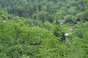 کلبه چوبی دوخواب مبله در ماسال