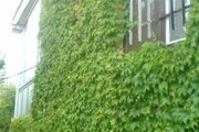 آپارتمان مبله تکخواب در طرقبه