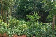 واحد تکخواب در طبقه همکف ویلای محمودآباد