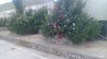 ویلا دو خواب ساوه