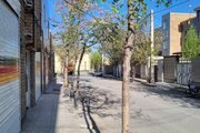 سوئیت دو نفره در همدان