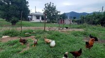 ویلا باغ خاطره درروستای میرمحله ماسال