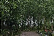 کلبه سوئیسی تکخواب مبله میجان 1 در رشت