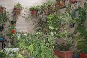 ویلا سه خوابه در گیلان, بندرانزلی