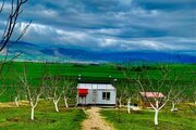 سوئیت ویلای 35 متری نیکان در ساری