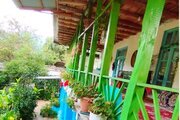 کلبه دوطبقه جنگلی پارسا در تالش