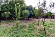 آپارتمان دو خواب دلنشین در کوهرنگ