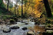باغ ویلا تک خواب مبله در رودبار