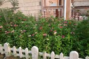 واحد مبله دوخواب در طبقه همکف ویلا  کاسپین در پره سر